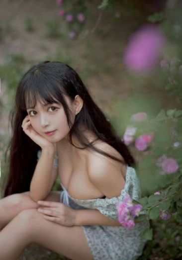 某某电视剧在线观看全集免费播放