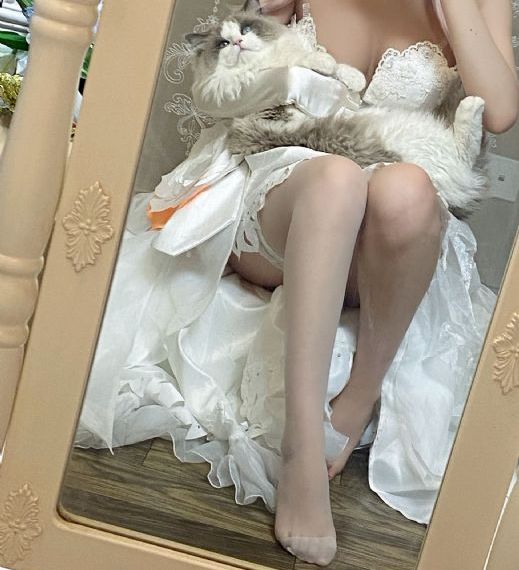 杉杉来吃