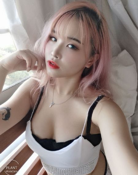 廉政风云