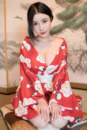 鹿鼎记韩栋版