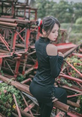 家业