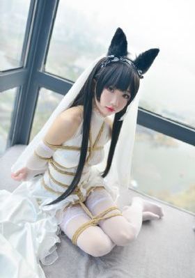 孤舟电视剧40集免费观看