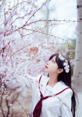 张达明